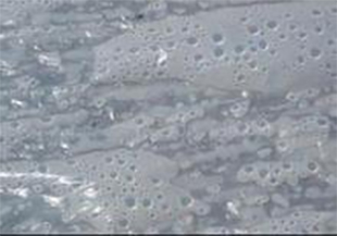 圖片關鍵詞 圖片關鍵詞